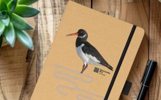 Oystercatcher notebook