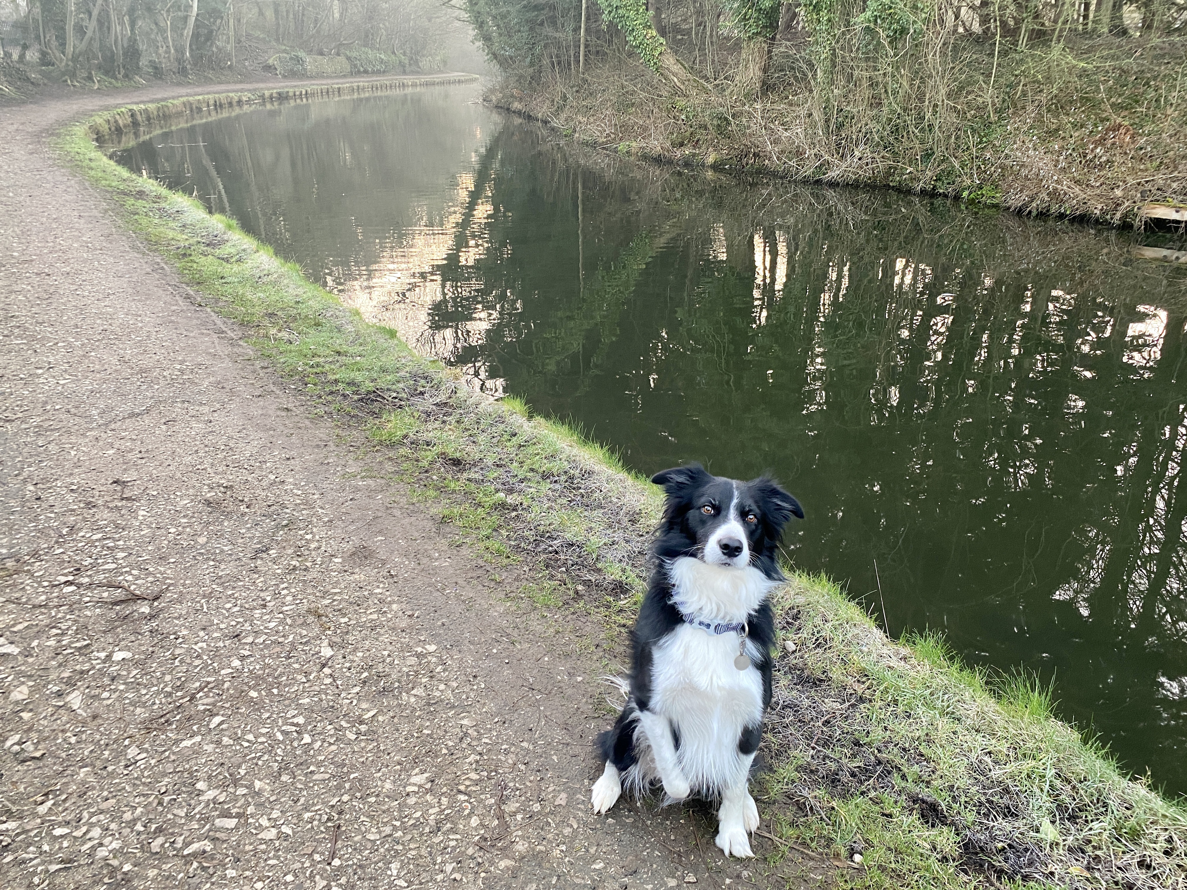 Carnforth canal walk February 2023 09