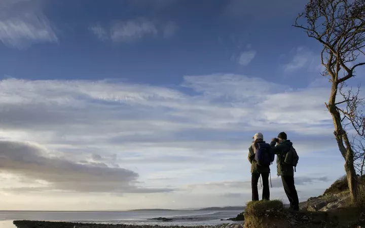 Join our ‘Love Morecambe Bay’ campaign