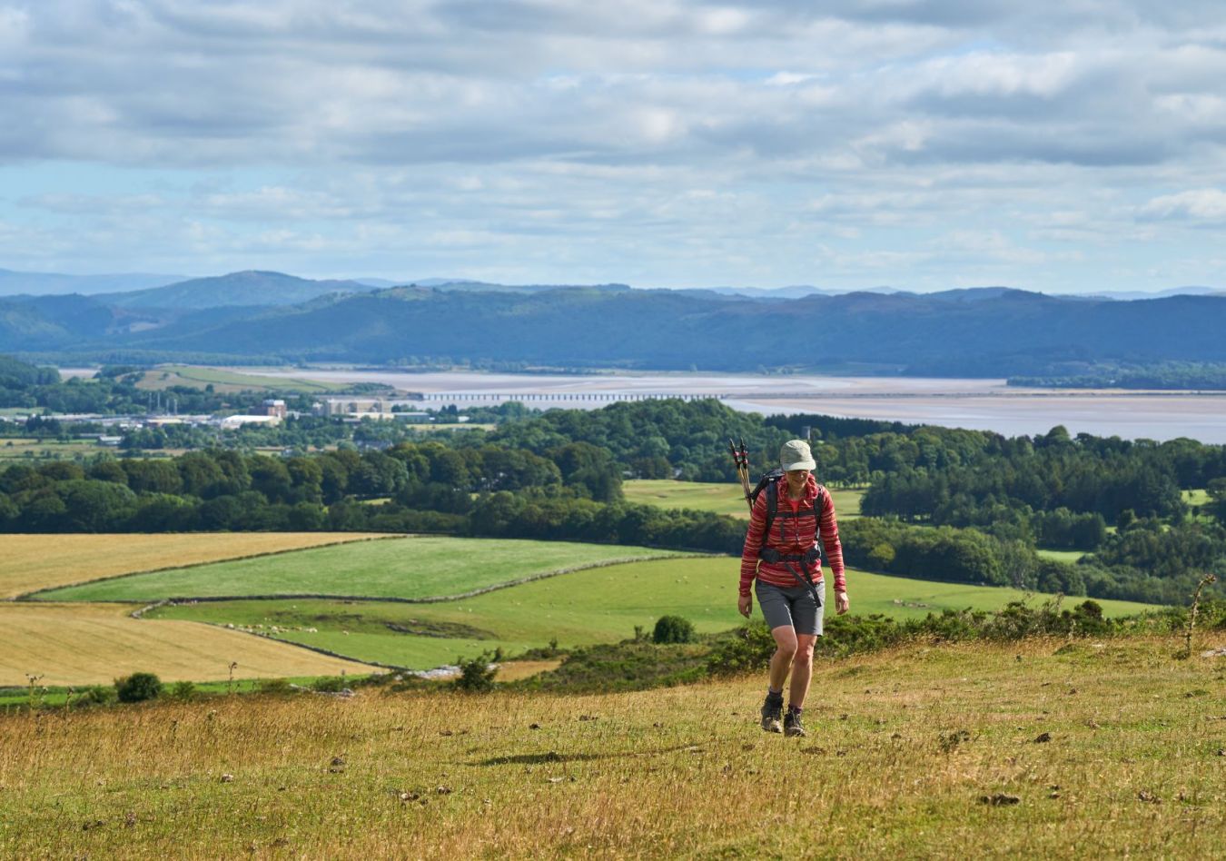Birkrigg Common Wildey Media July2022 1