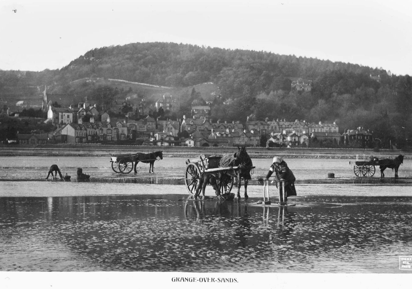 Cocklers On The Sands At Grange