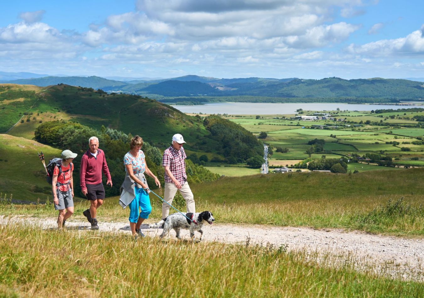 Friends With Dog Hoad Wildeymedia July2022