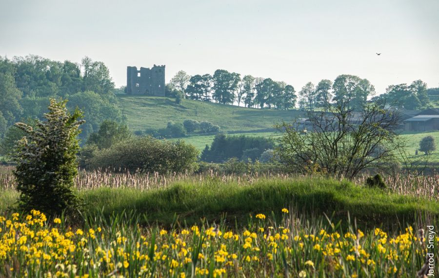 Meadow In Challan Hall Woods Looking Towards Arnside Tower Jarrod Sneyd Jarrod Sneyd Scaled
