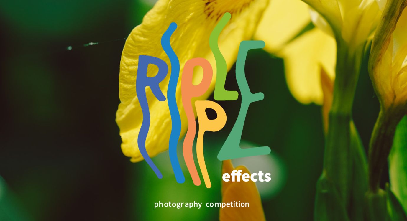 Re Website Image
