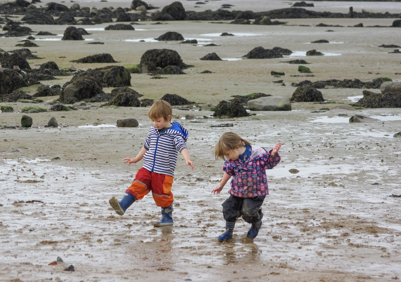 Walk Children Family Beach Play