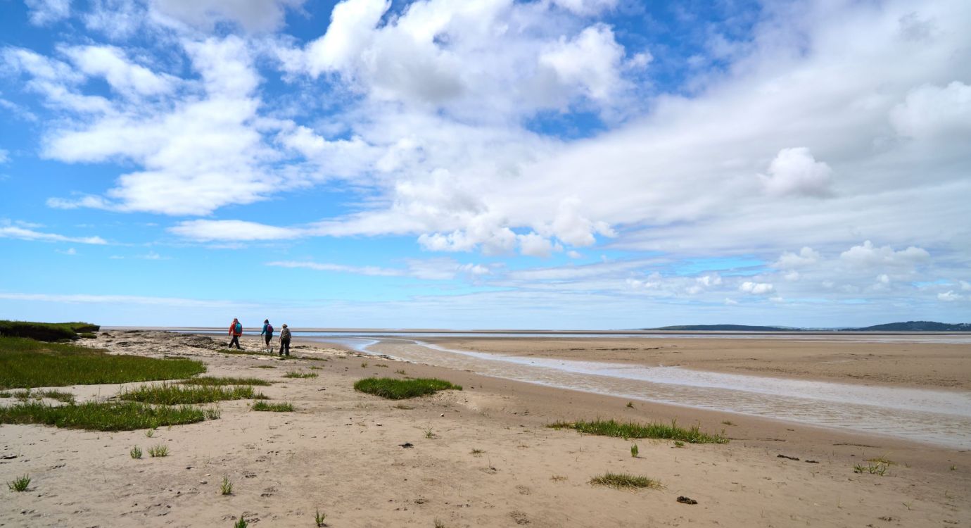Silverdale Coast Wildey Media Scaled